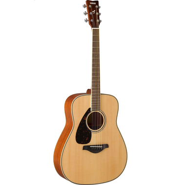 Acoustic Guitar FG820L